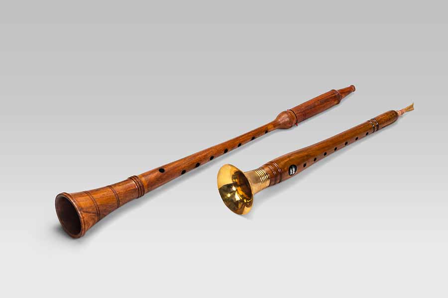 Shehnai deals instrument price